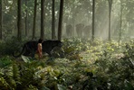 EventGalleryImage_the-jungle-book-003.jpg