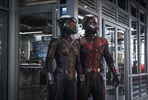 EventGalleryImage_Ant-man_and_the_Wasp_5.jpg