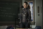 EventGalleryImage_Ant-man_and_the_Wasp_6.jpg